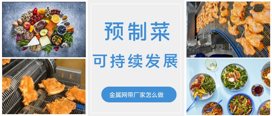 金屬輸送網帶的領頭企業，預制菜的可持續發展中能做什么？